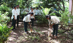 Cleanliness Drive