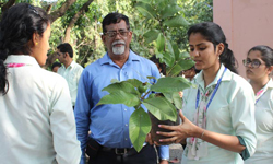 Plant workshop