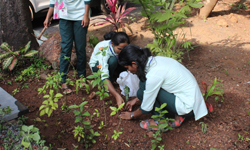 Plant workshop