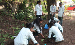 Plant workshop