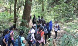 Nature trek